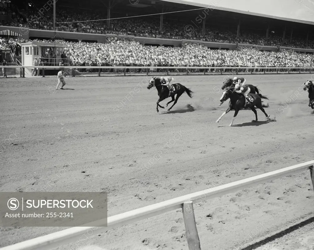 Three jockeys riding horses in a race, Delaware Park, Wilmington, Delaware, USA