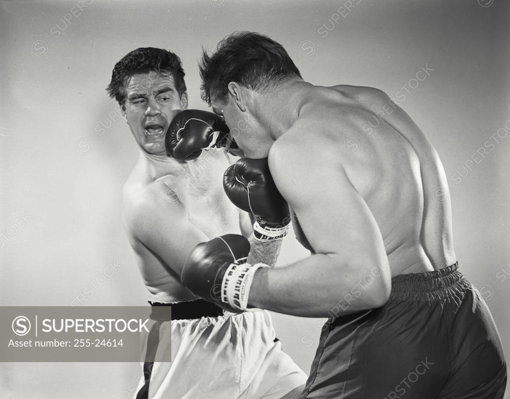 Stock Photo: 255-24614 Two mid adult men boxing