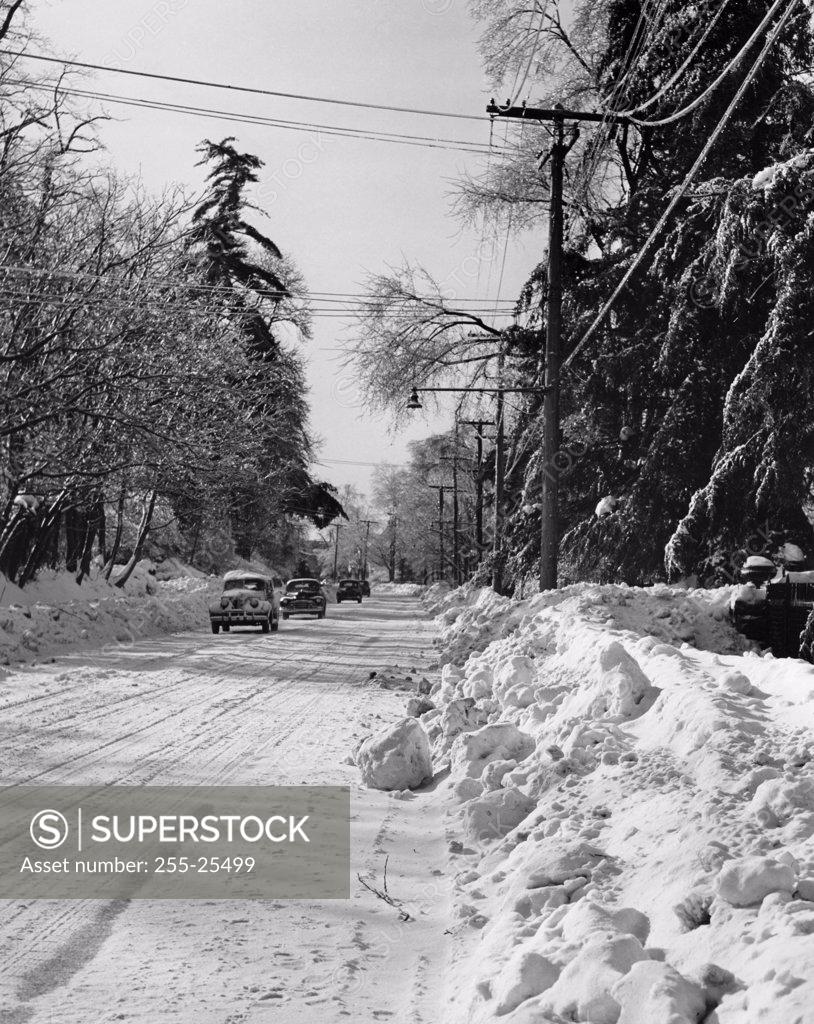 Stock Photo: 255-25499 Cars moving on a road, Long Island, New York, USA