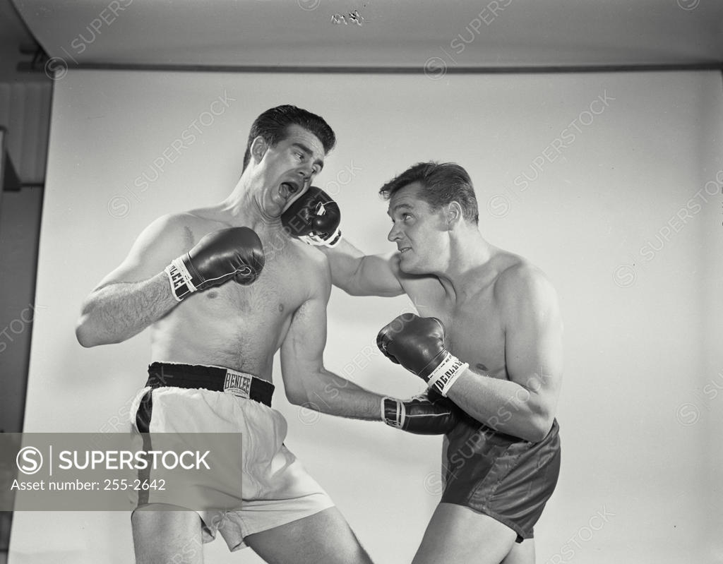 Stock Photo: 255-2642 Two mid adult men boxing