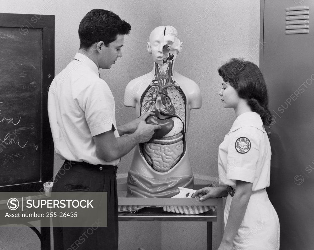 Stock Photo: 255-26435 Side profile of a male doctor explaining about human organs to a female nurse