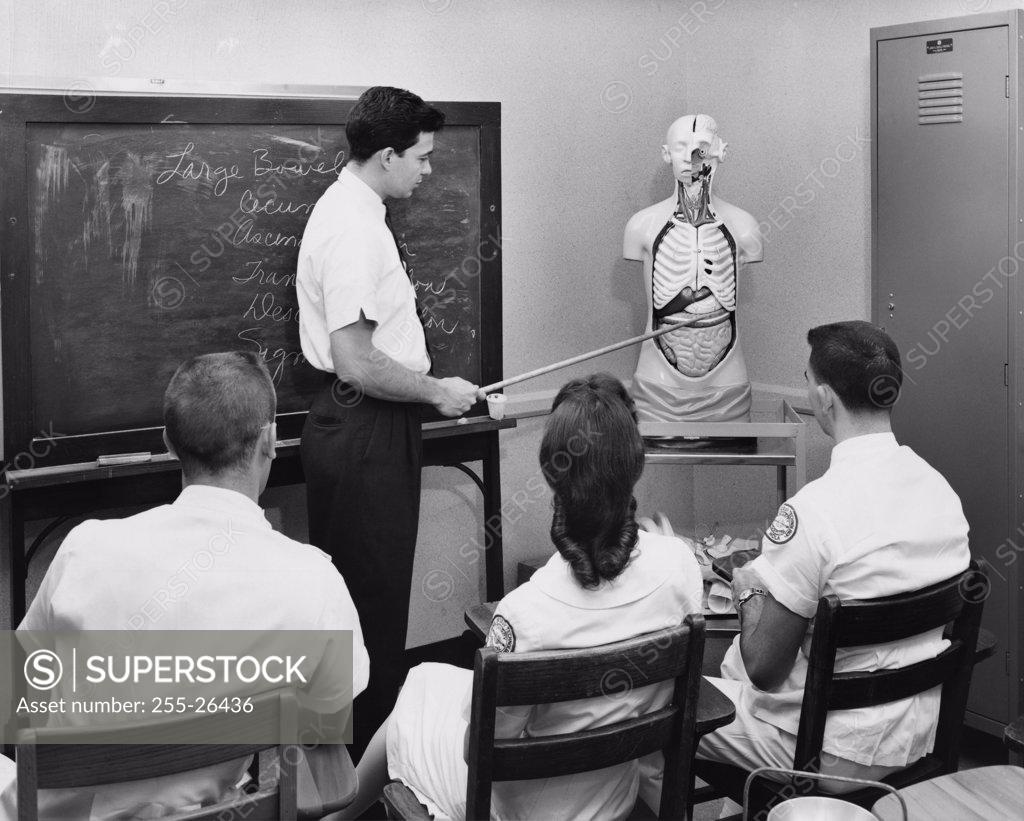 Stock Photo: 255-26436 Side profile of a male doctor explaining about human organs to his students