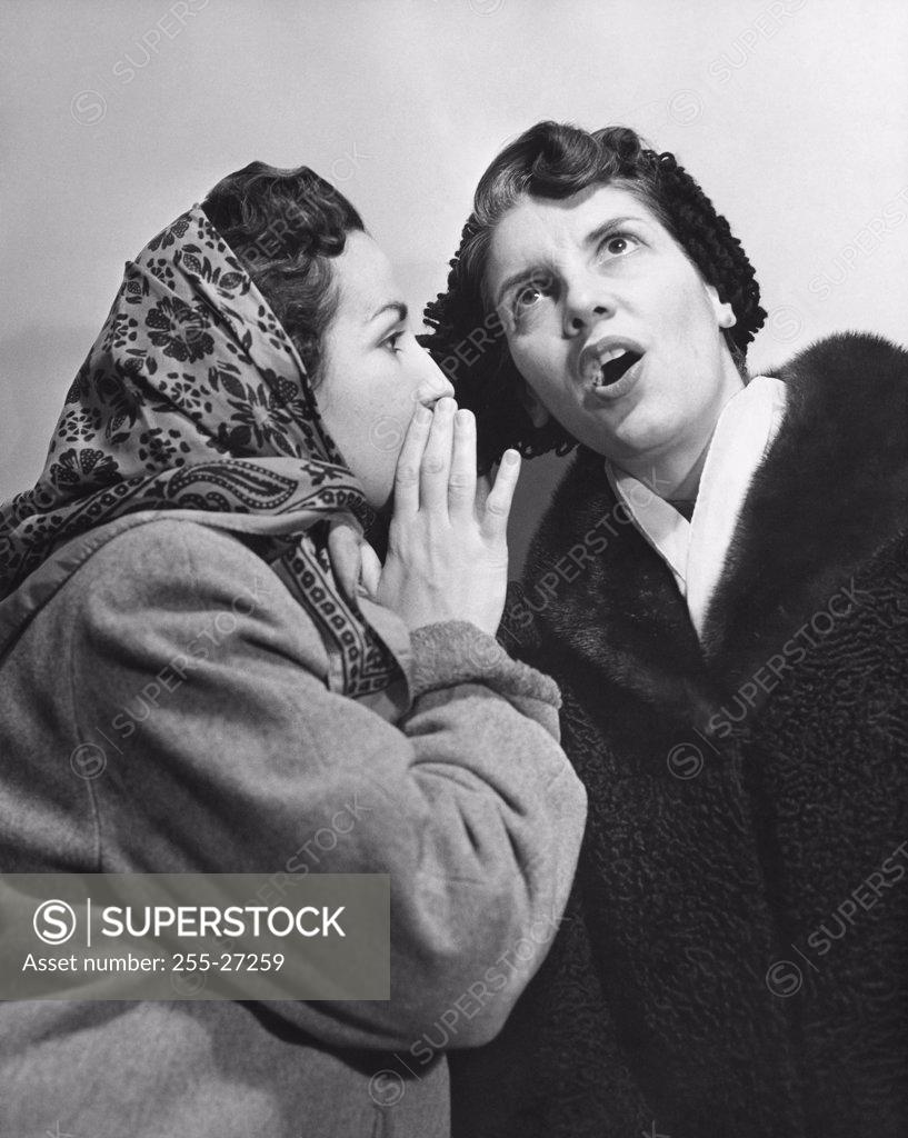 Stock Photo: 255-27259 Side profile of a young woman whispering to another young woman