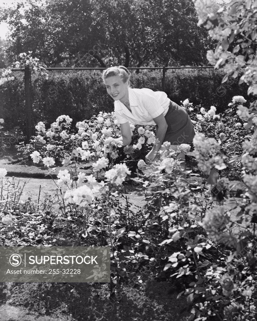 Stock Photo: 255-32228 Young woman gardening