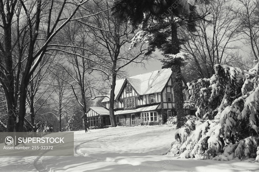 Stock Photo: 255-32372 House in snow covered landscape