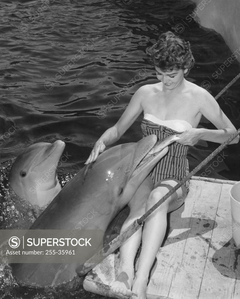 Stock Photo: 255-35961 Young woman sitting on a wooden platform and feeding fish to dolphins in a zoo