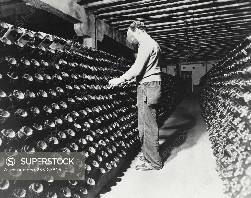 Stock Photo: 255-37815 Manual worker working in a storage room of a food processing factory