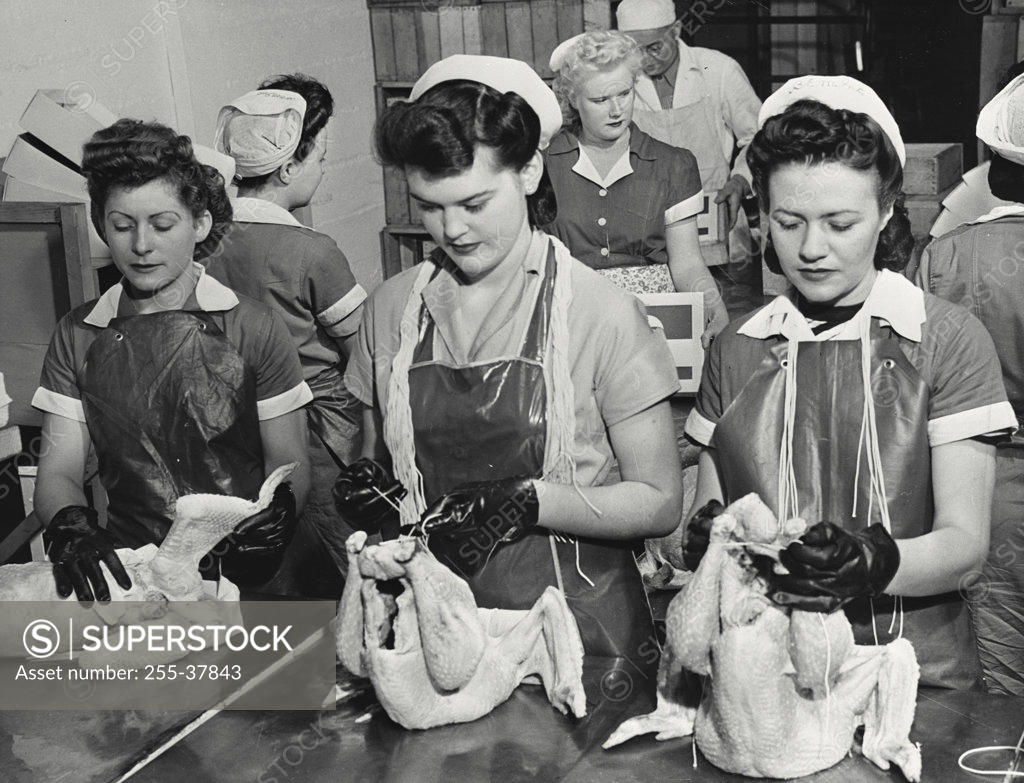 Stock Photo: 255-37843 Manual workers tying turkey legs and wings in a food processing factory, Frozen Food Plant, Hillsboro, Oregon, USA