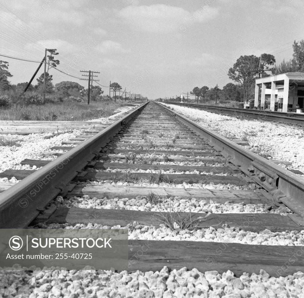 Stock Photo: 255-40725 Railroad tracks passing through a landscape