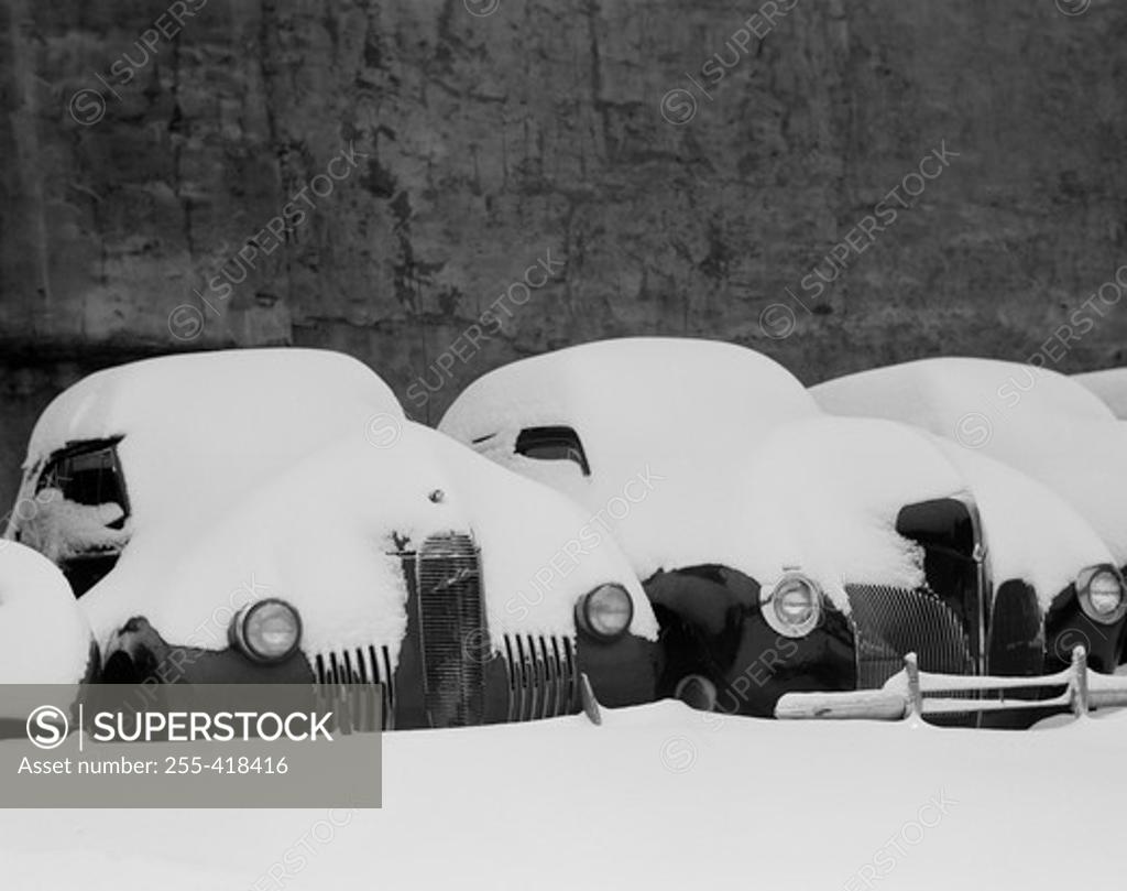 Stock Photo: 255-418416 Parked cars covered by snow