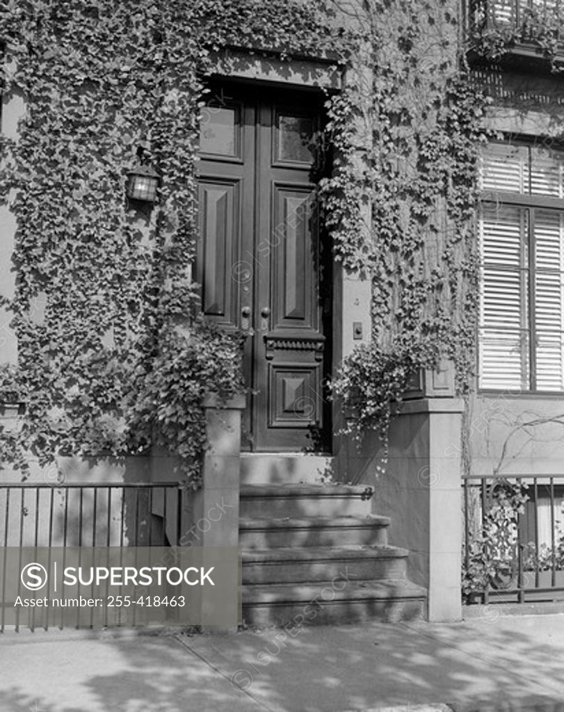 Stock Photo: 255-418463 Apartment building entrance covered with ivy