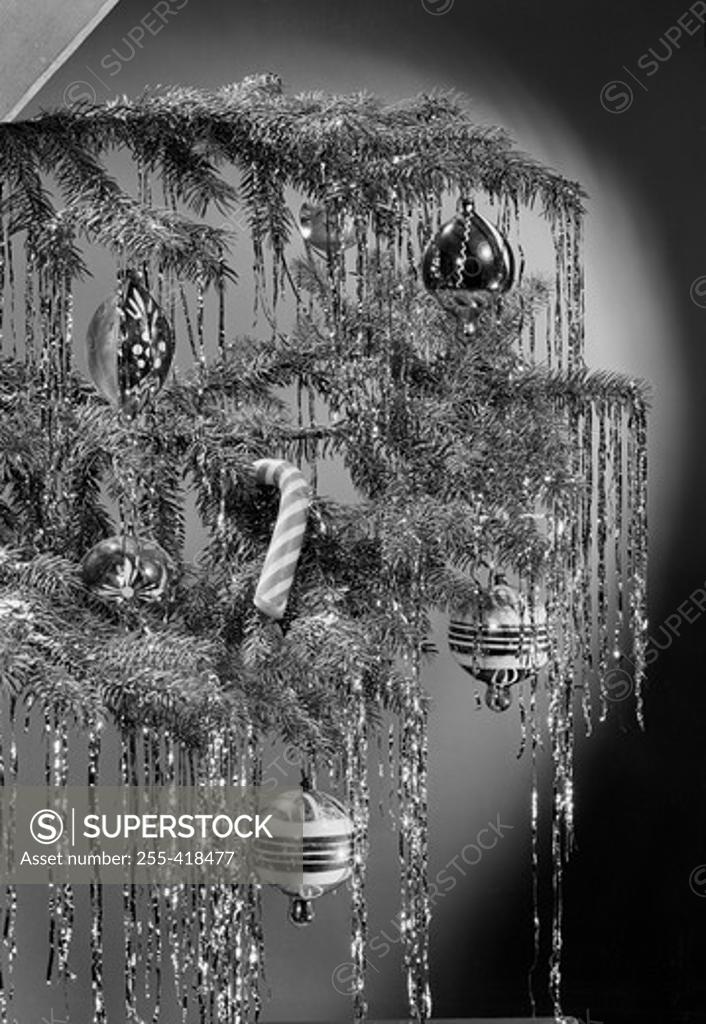 Stock Photo: 255-418477 Pine branches with Christmas decoration