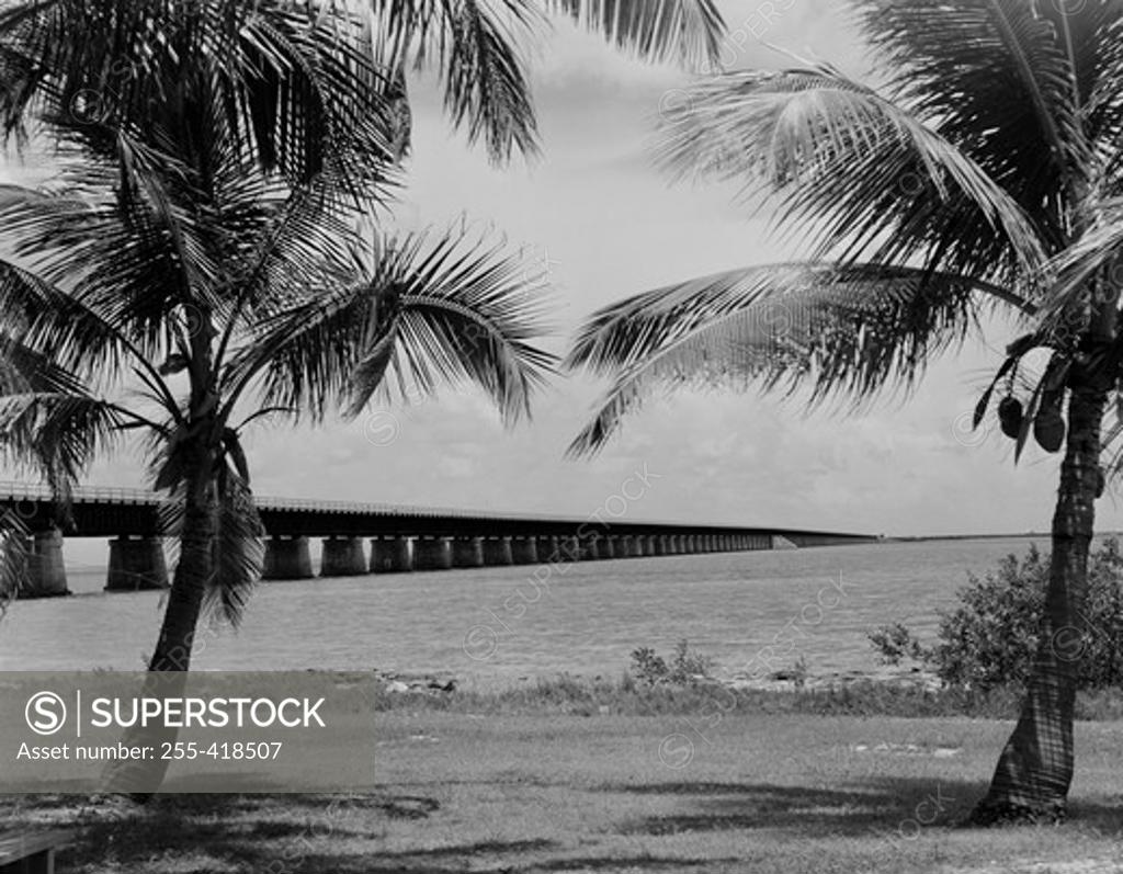 Stock Photo: 255-418507 USA, Lower Florida Keys, Seven Mile Bridge from Pigeon Key