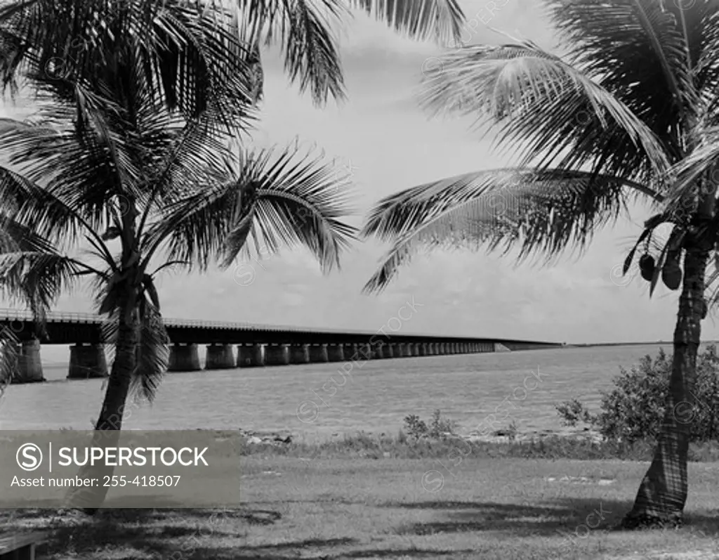 USA, Lower Florida Keys, Seven Mile Bridge from Pigeon Key