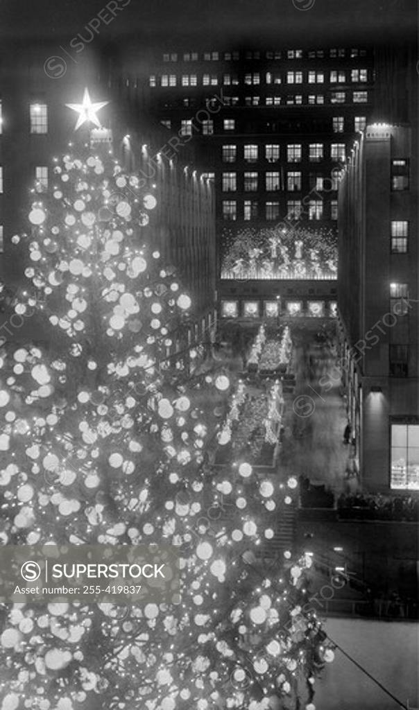 Stock Photo: 255-419837 USA, New York State, New York City, Christmas tree in Rockefeller Center