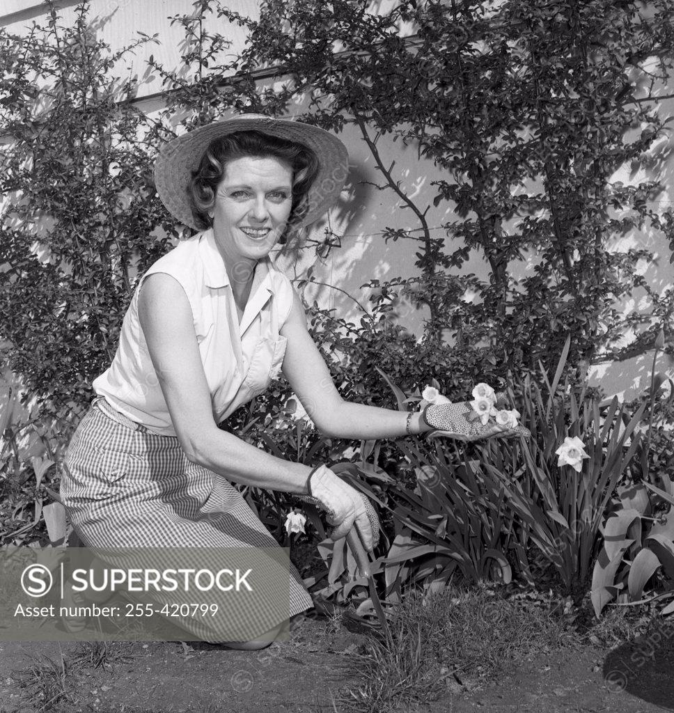 Stock Photo: 255-420799 Mid adult woman gardening