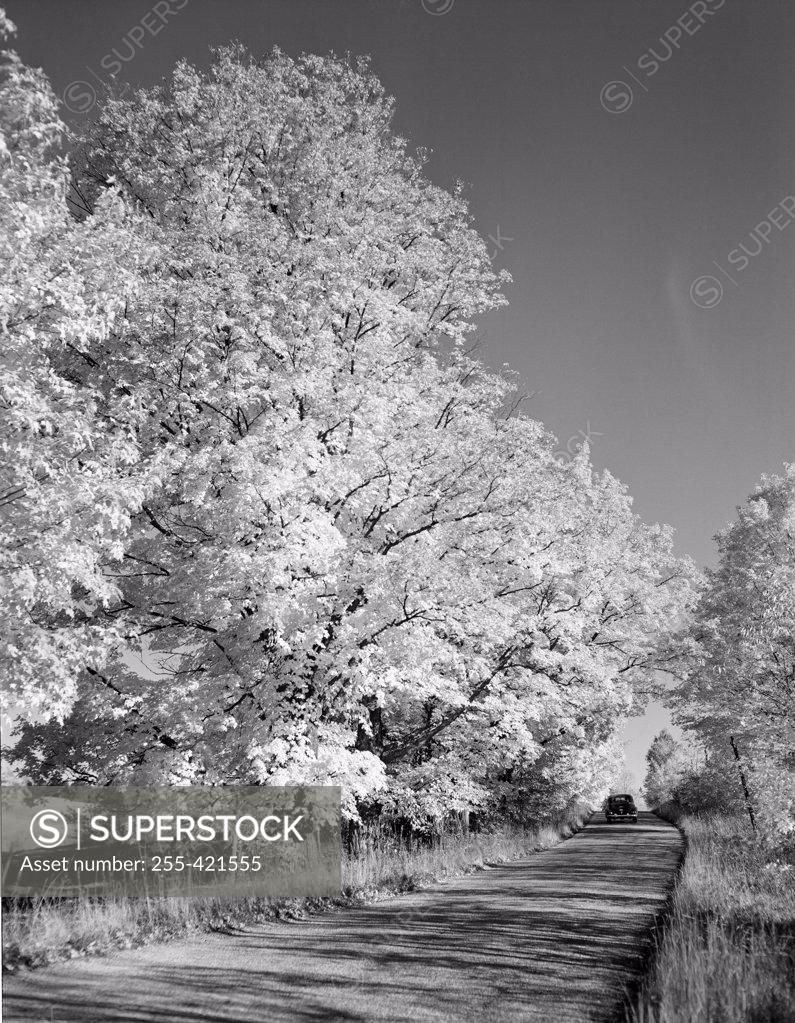 Stock Photo: 255-421555 USA, Vermont, near Peacham, autumn