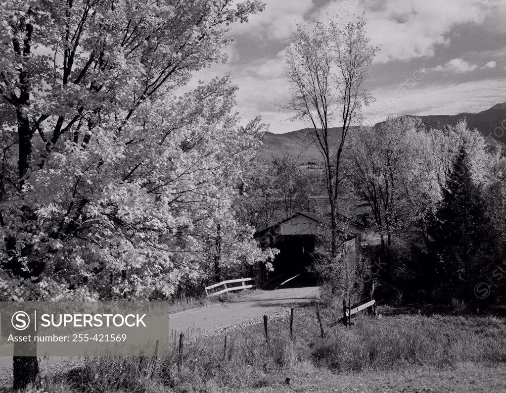 Stock Photo: 255-421569 USA, Vermont, near Underhill Flat, covered bridge and road