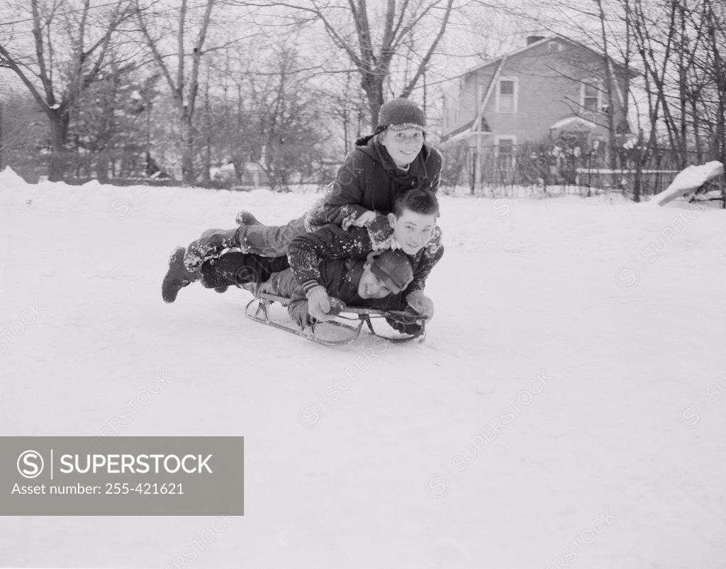 Stock Photo: 255-421621 Three boys sledding down on slope