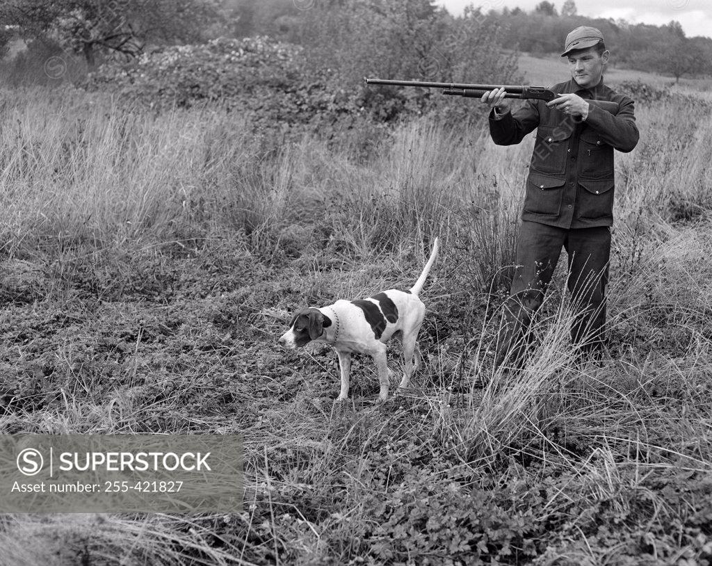 Stock Photo: 255-421827 Man with hound hunting in fields