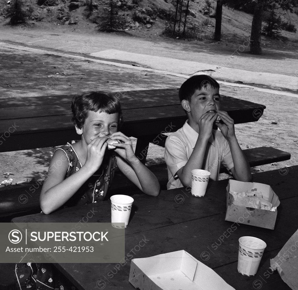 Stock Photo: 255-421953 Girl and boy eating at picnic table