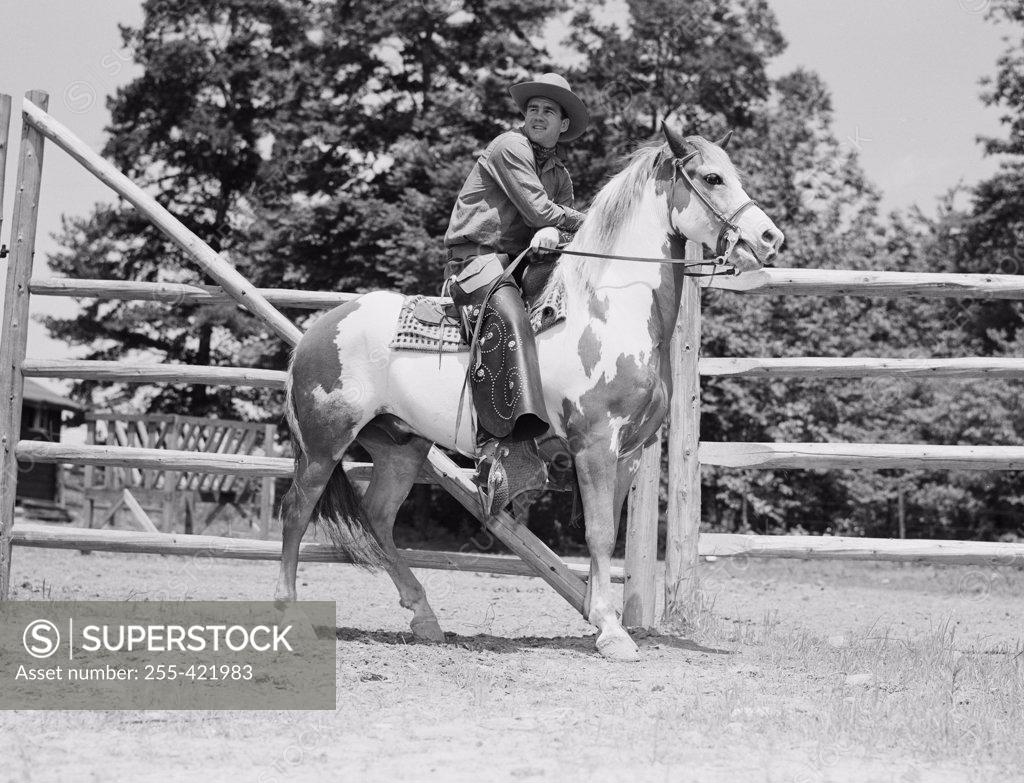 Stock Photo: 255-421983 Portrait of cowboy on horseback