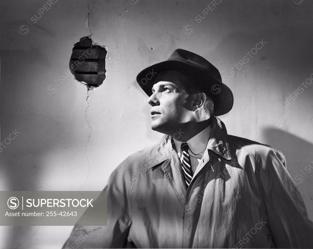Stock Photo: 255-42643 Close-up of a detective looking away