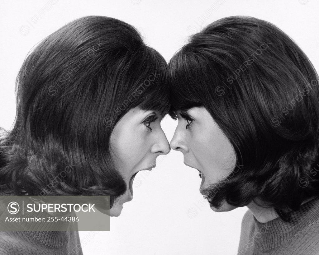 Stock Photo: 255-44386 Side profile of twin young women face to face and shouting