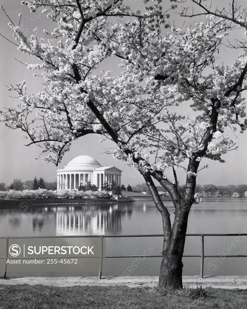 Stock Photo: 255-45672 USA, Washington DC, Reflection of Jefferson Memorial in water