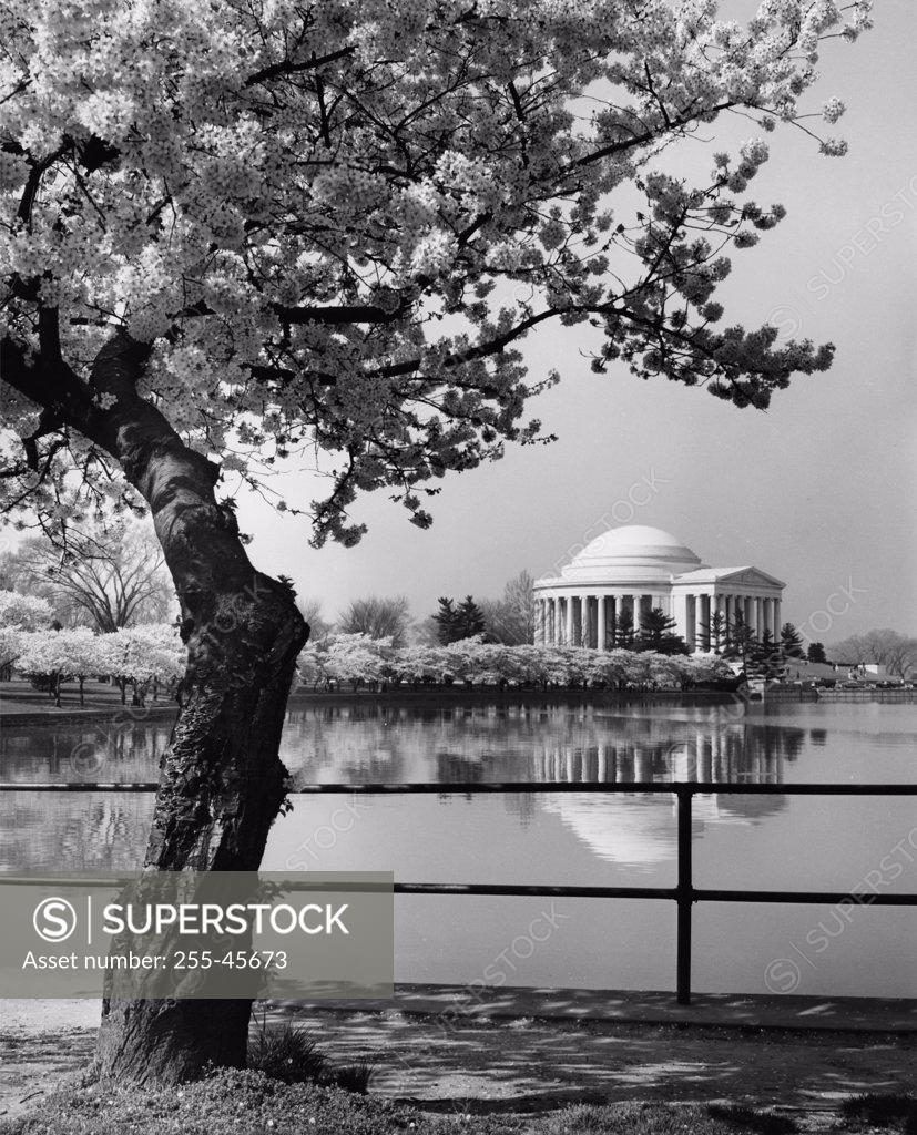Stock Photo: 255-45673 Reflection of a building in water, Jefferson Memorial, Washington DC, USA