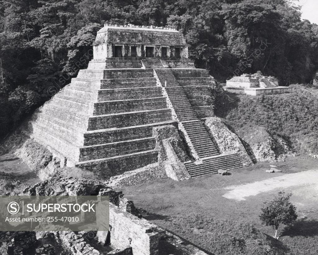 Stock Photo: 255-47010 Temple of the Inscriptions Palenque (Mayan) Mexico
