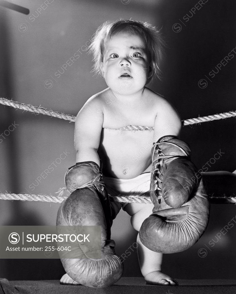 Stock Photo: 255-604C Portrait of a baby wearing boxing gloves