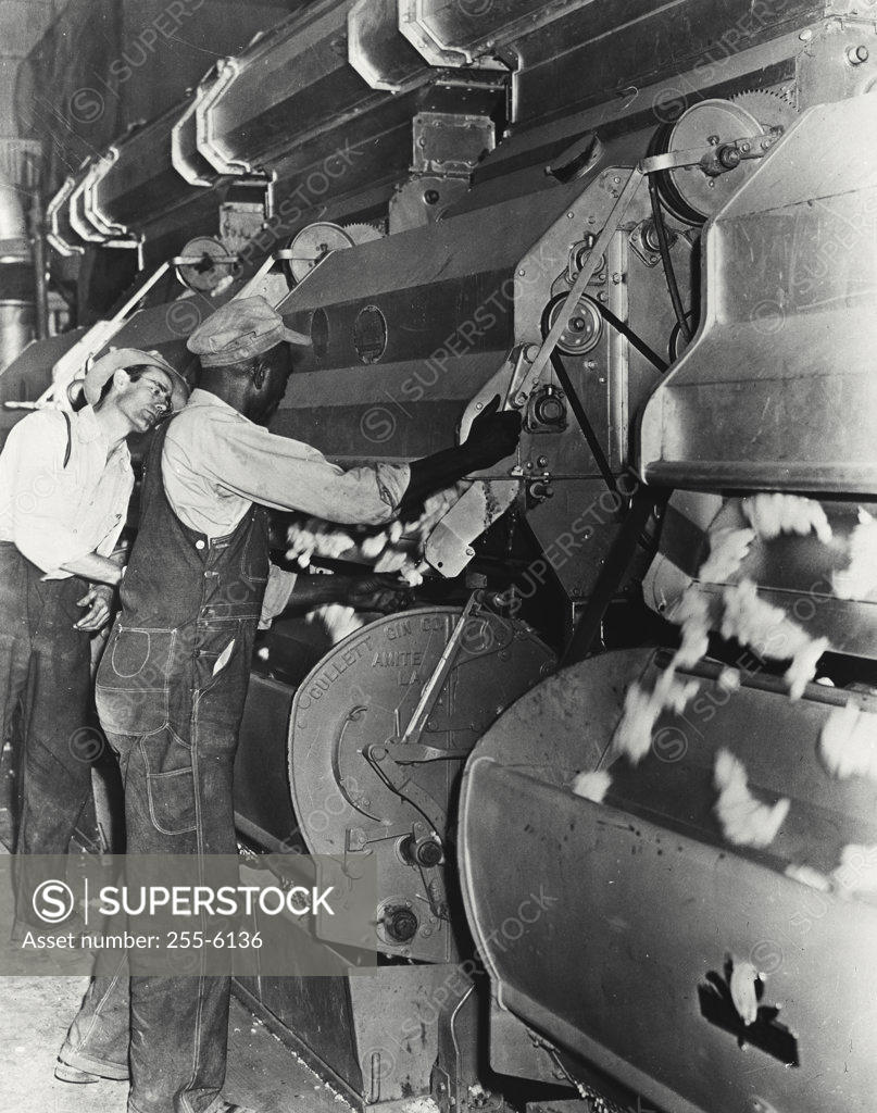 Stock Photo: 255-6136 Side profile of two workers working in a textile factory
