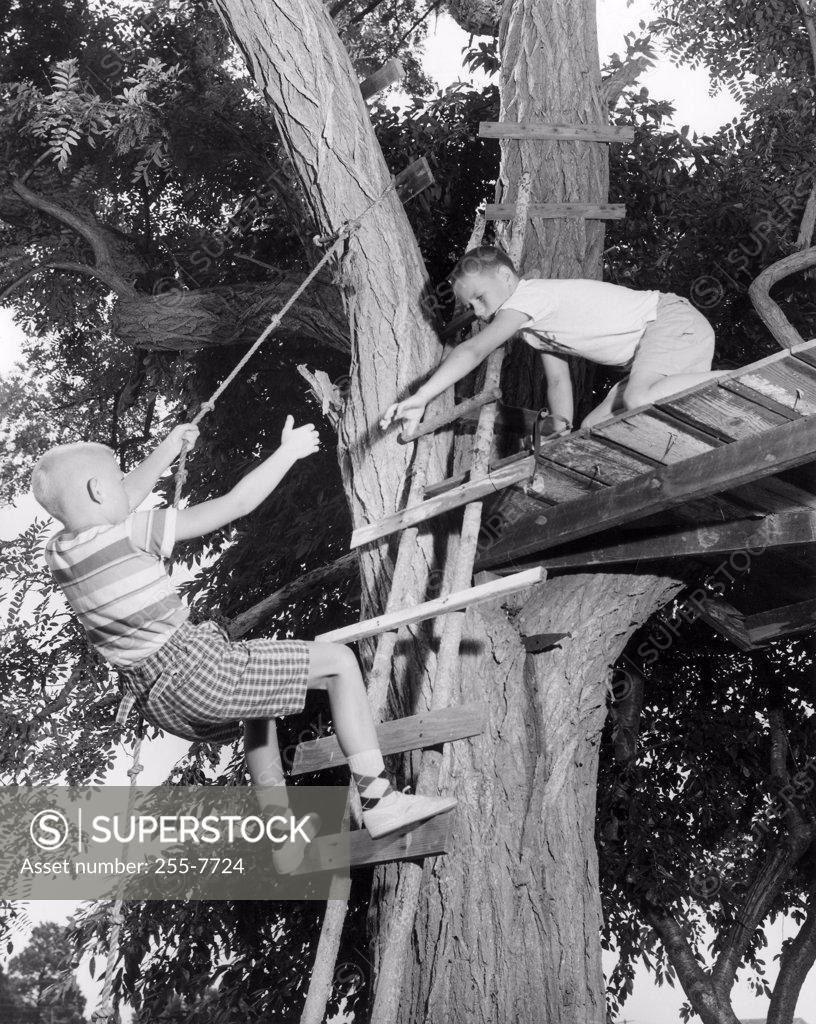 Stock Photo: 255-7724 Low angle view of two boys playing in a tree house