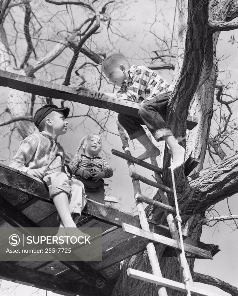 Stock Photo: 255-7725 Three children playing in tree house