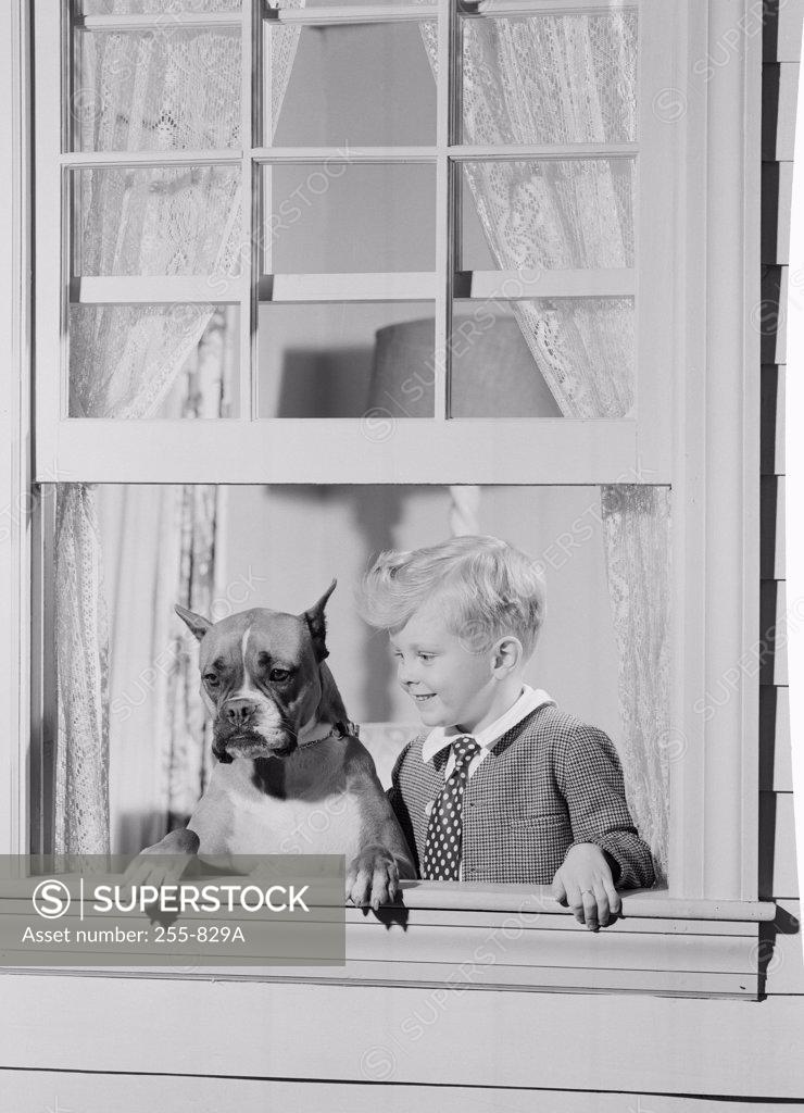 Stock Photo: 255-829A Boy and his dog looking through window