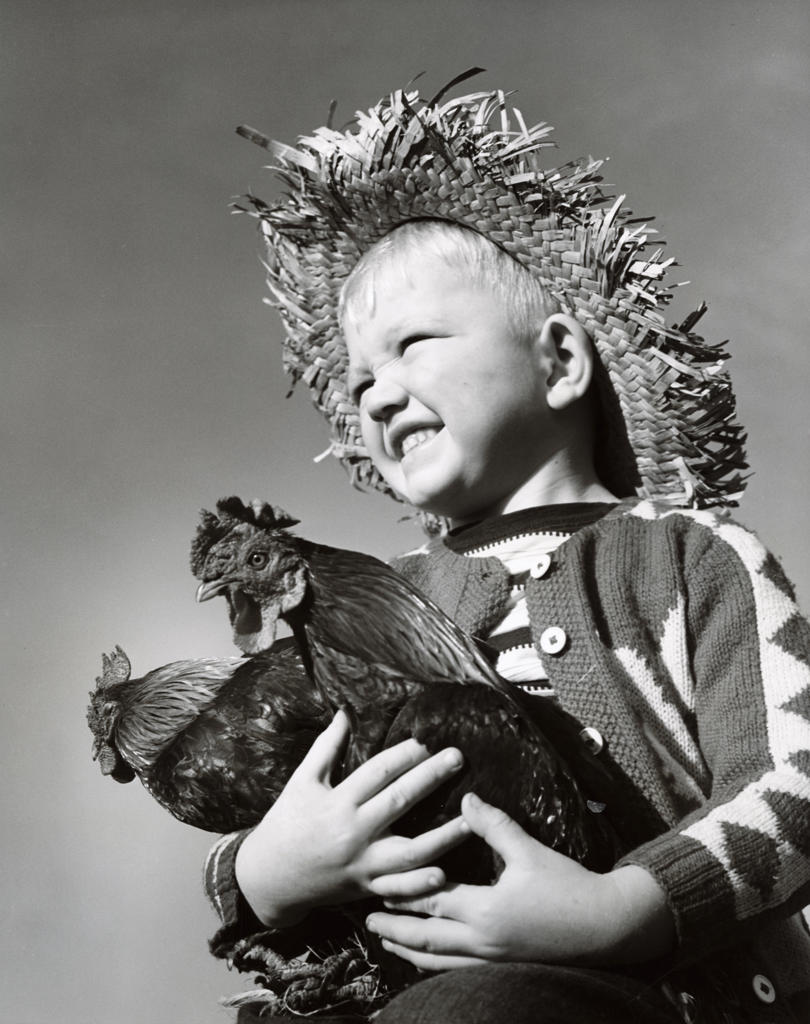 Low angle view of a boy holding two roosters