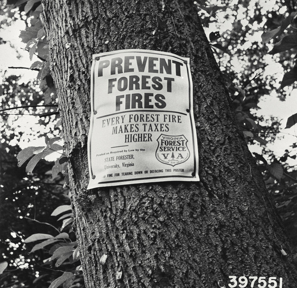 A state of Virginia prevent forest fires sign posted on a tree on route 60 between Covington and Clifton Forge Jefferson national Forest, Virginia