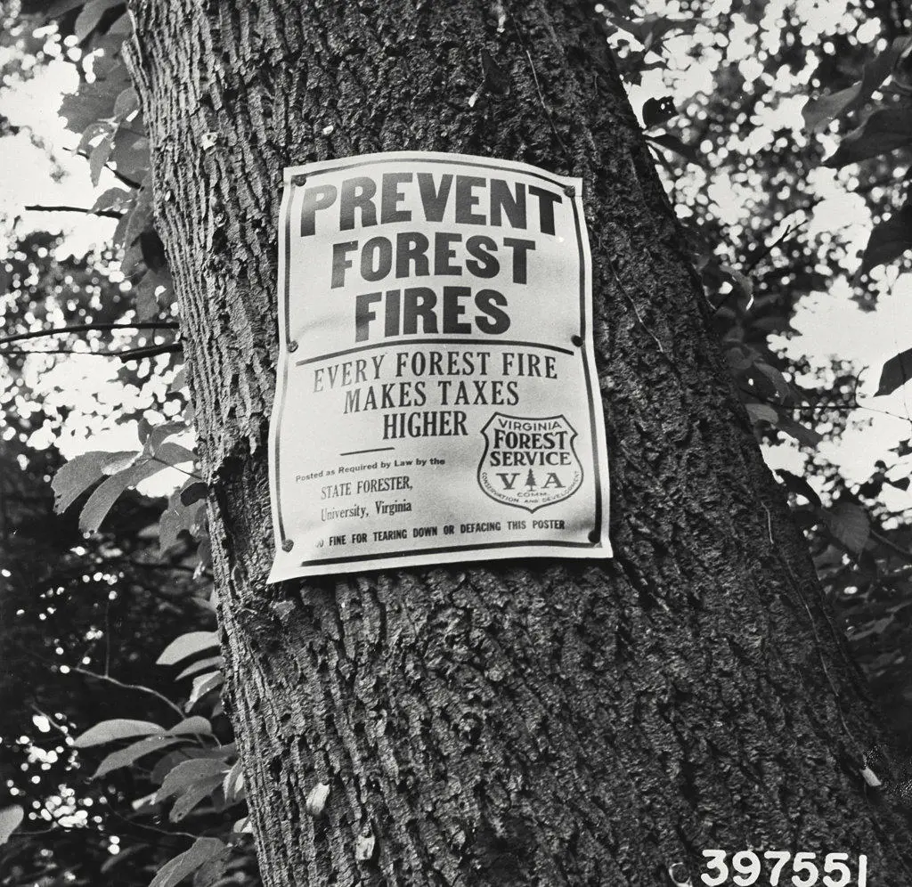 Vintage photograph. A state of Virginia prevent forest fires sign posted on a tree on route 60 between Covington and Clifton Forge Jefferson national Forest, Virginia