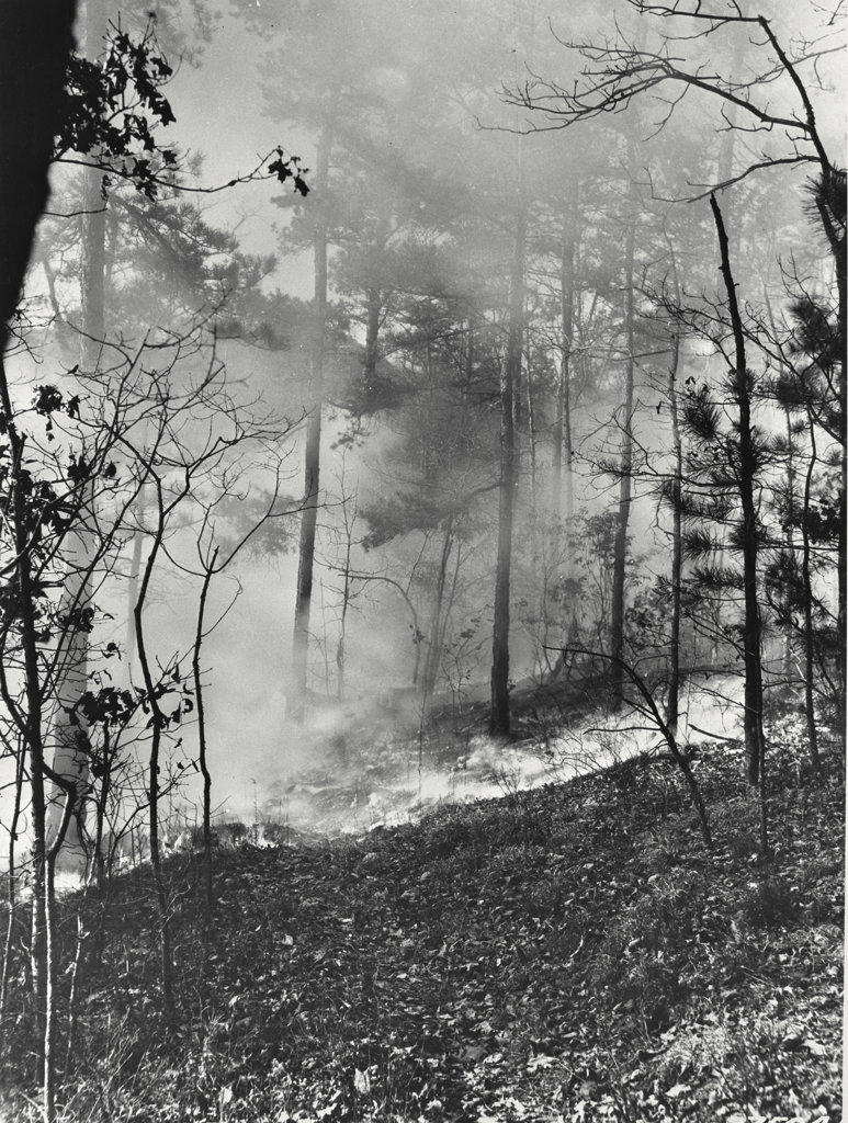 forest fire in Pisgah national forest
