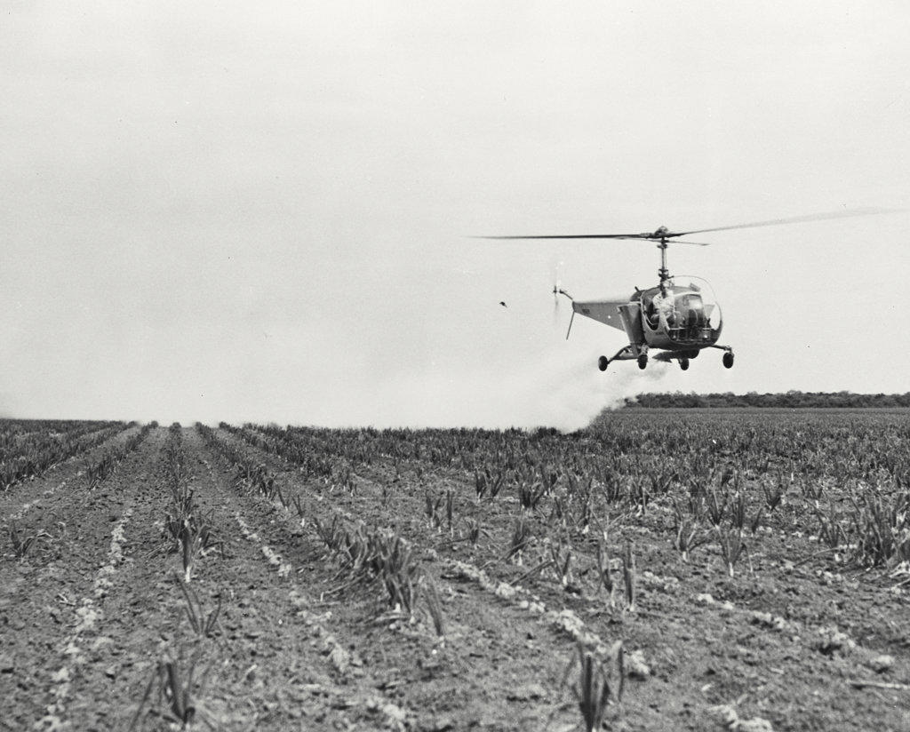 Bell helicopter performing Black fly fogging operations