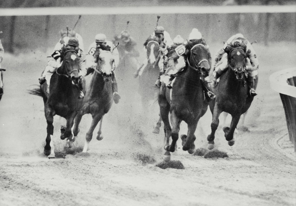 Jockeys riding horses in a race