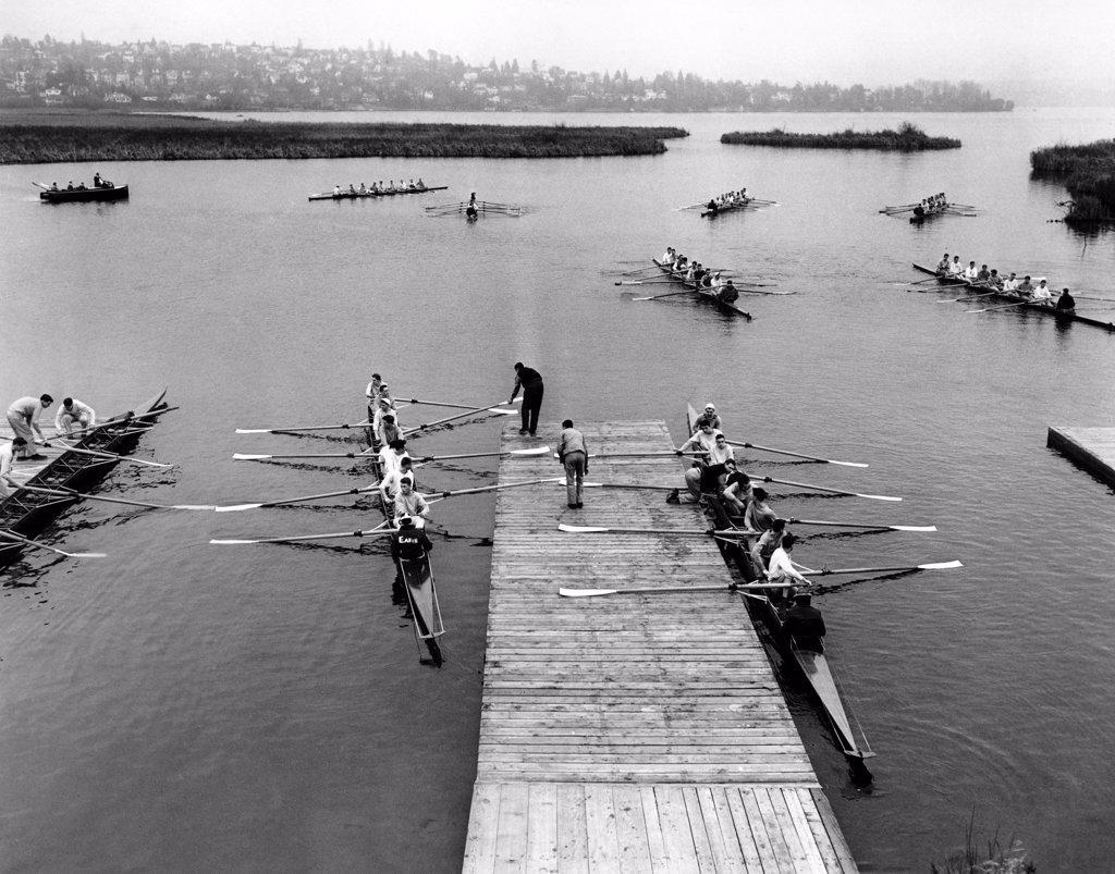 High angle view of rowboats in a sweep rowing race, Lake Washington, Washington, USA
