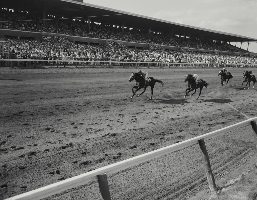 Four jockeys riding horses in a race, Delaware Park, Wilmington, Delaware, USA