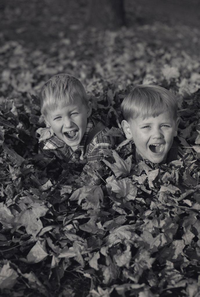 Two boys playing in heap of leaves