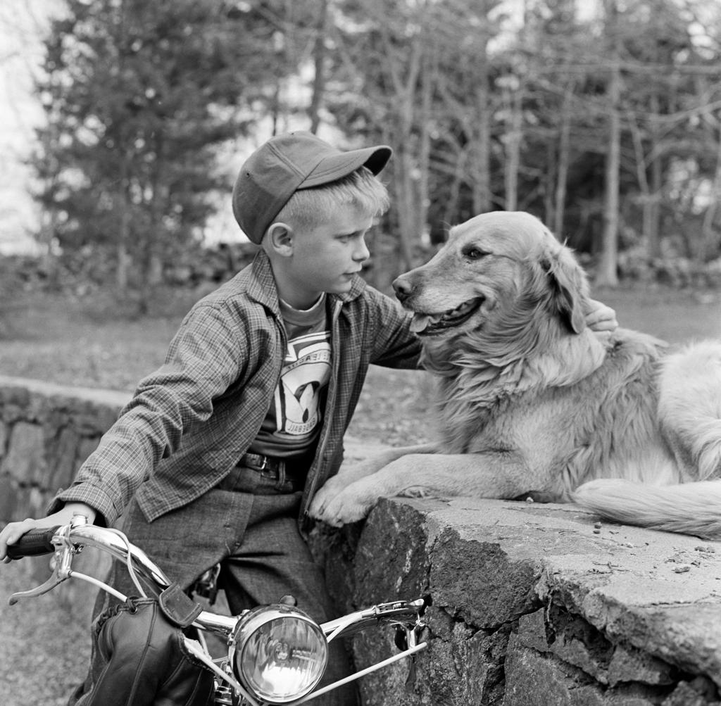 Boy on bike stroking dog