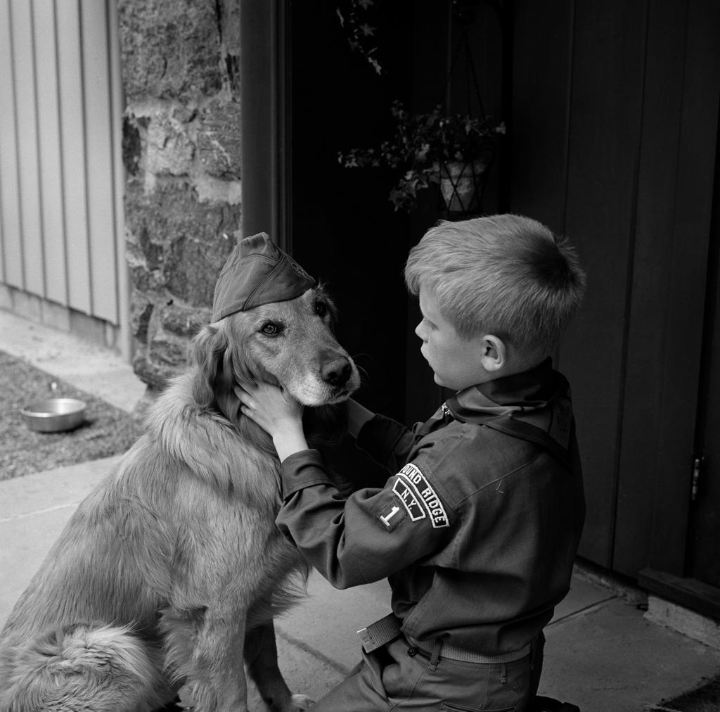 Boy scout in uniform with dog wearing scout hat