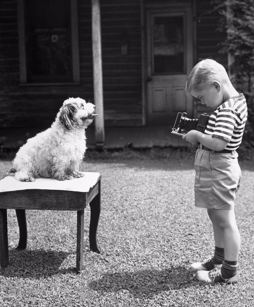 Side profile of boy taking photograph of his dog