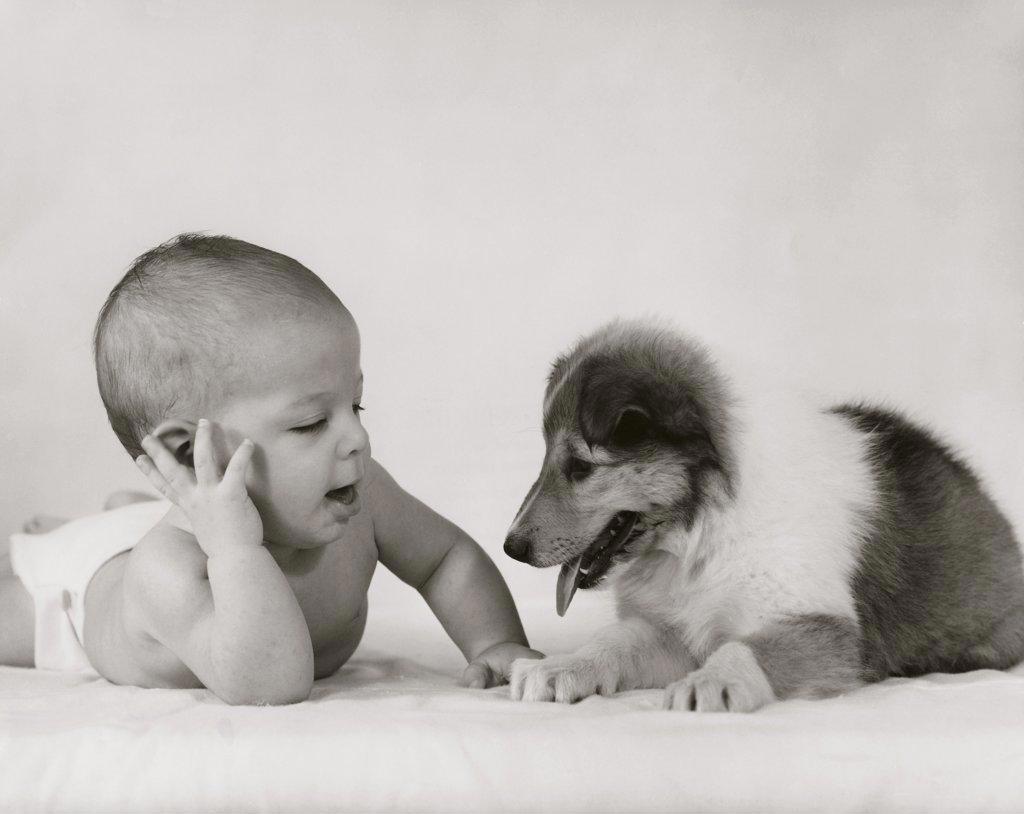Close-up of a baby with a puppy