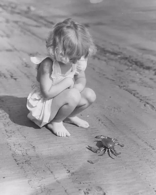 Girl watching a crab on the beach